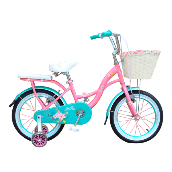 Bicicleta Coral 16
