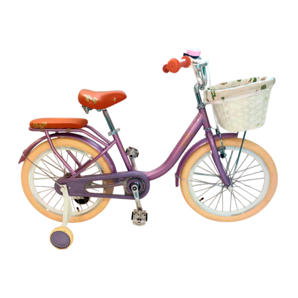 Bicicleta Franch 20